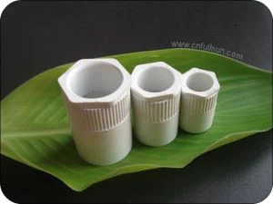 ท่อพีวีซีฟิตติ้งหญิงอะแดปเตอร์ Anti-Aging